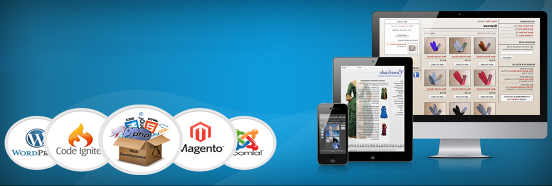Design & Development